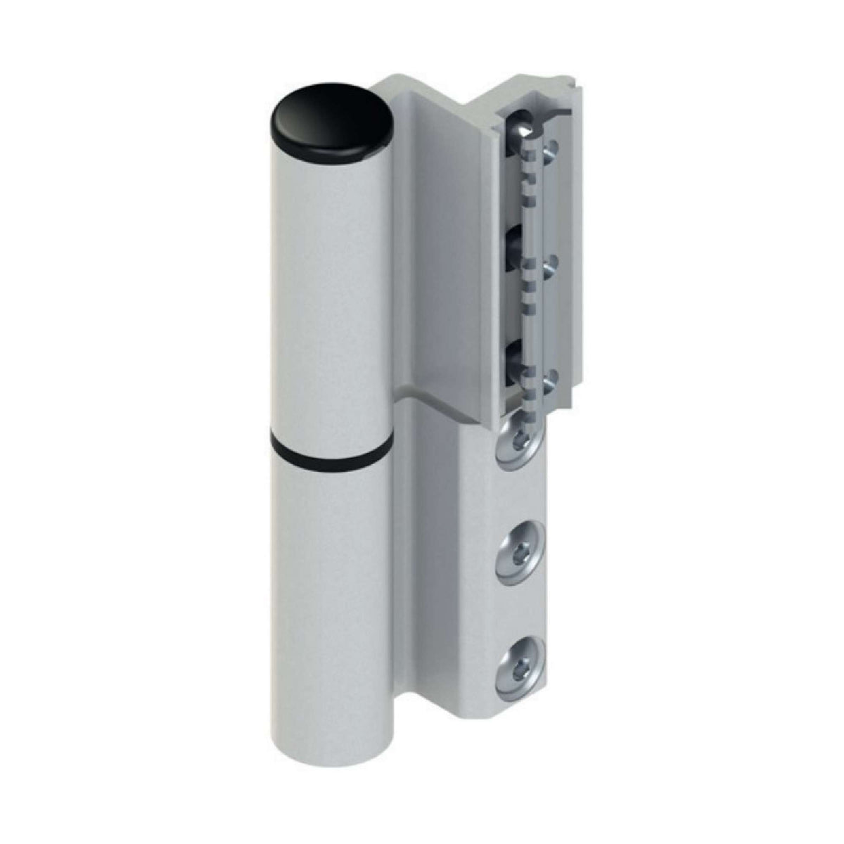 Cerniera a contrasto Celera per porte nodo C007 - GIESSE 00682